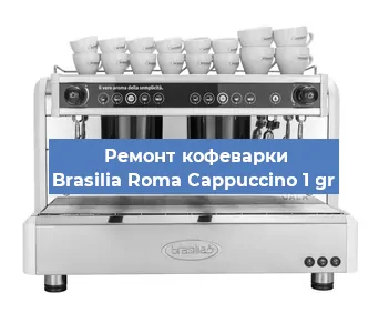 Ремонт заварочного блока на кофемашине Brasilia Roma Cappuccino 1 gr в Новосибирске